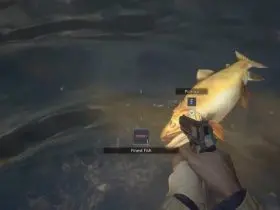 Resident Evil Village: How To Get The Finest Fish